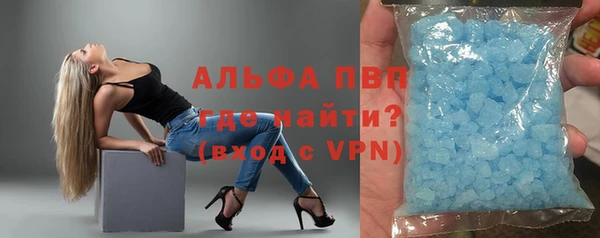 крисы Новокубанск