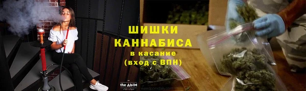 a pvp Новозыбков