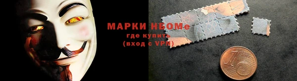 крисы Новокубанск