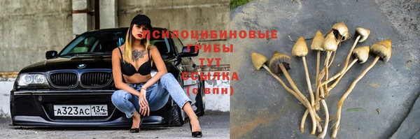 мдпв Абдулино