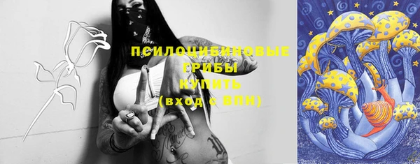 бошки Новодвинск